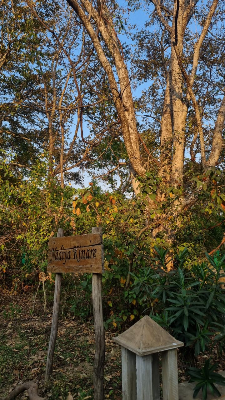 A small path leading into the woods