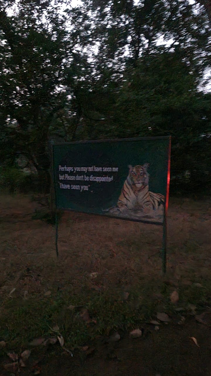 A sign in the forest: 'I have seen you'